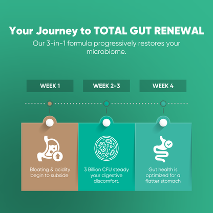 PRE+POST+PREBIOTICS GUMMIES